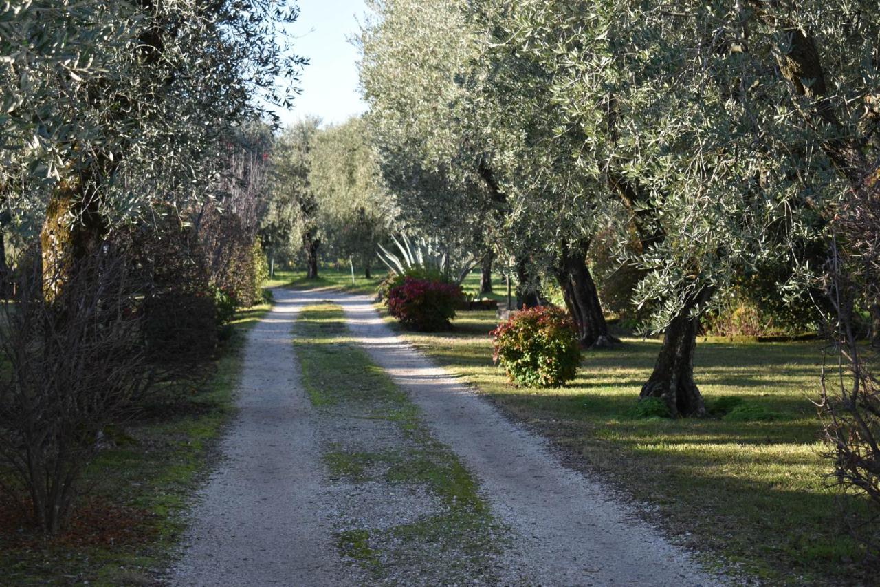 Villa Casa Ulivo Montinelle Esterno foto